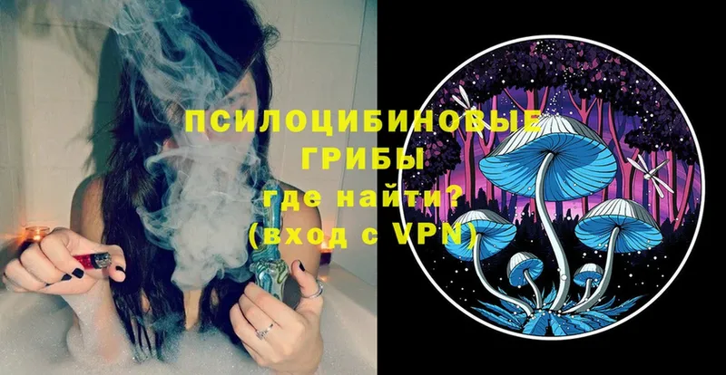 Галлюциногенные грибы MAGIC MUSHROOMS  Гаджиево 